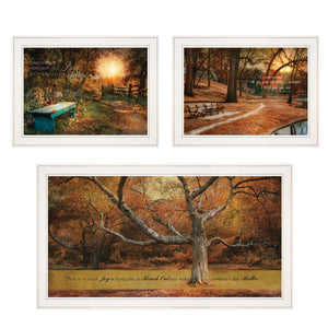 The Oakham Solid Wood Framed Prints (Set of Three)