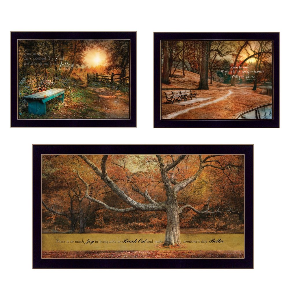 The Radley Solid Wood Framed Prints (Set of Three)