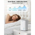 Small Dehumidifier for Home, 30Oz Mini Quiet Dehumidifier for Bathroom Bedroom, Portable Compact Air Dehumidifier for Closet, RV, Camper
